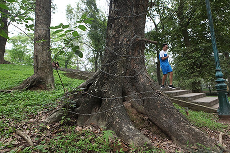 Núi “triệu đô