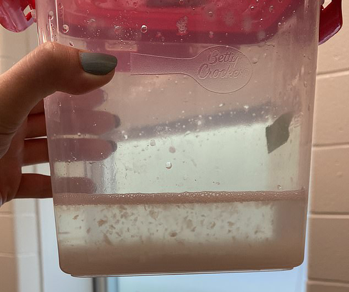 Vi nhựa được tìm thấy trong 90% protein