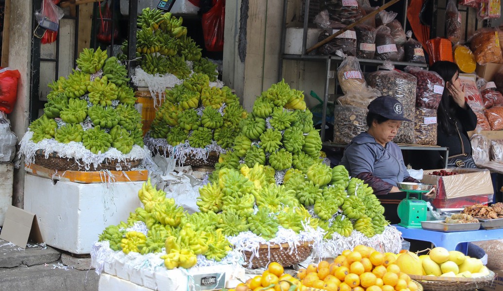 Làng phật thủ Đắc Sở rộn ràng vào vụ Tết Giáp Thìn