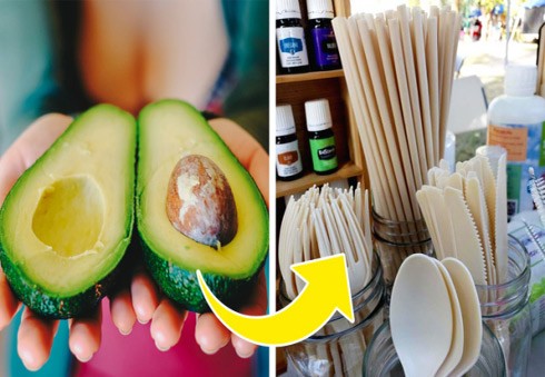 Sản xuất dụng cụ bàn ăn từ hạt quả bơ ảnh 1