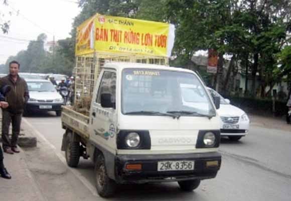 Ngang nhiên căng băng-rôn, rao bán... thịt lợn rừng tươi sống ảnh 1