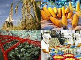 Xuất nhập khẩu bị tác động mạnh bởi sự kiện biển Đông ảnh 1