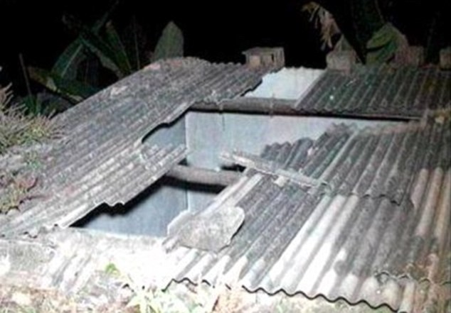 Chết vì bị bò rơi xuống từ nóc nhà ảnh 1