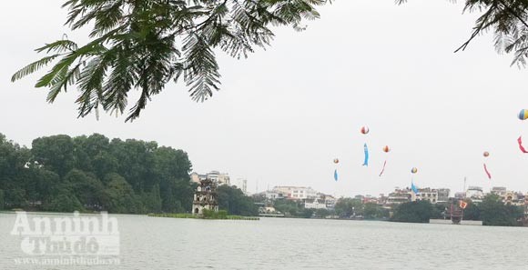 Cụ Rùa nổi lần 2, sau gần 3 tháng ảnh 5