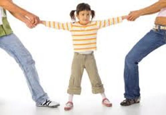 Tranh chấp kỳ lạ: Gia đình bên nội khai sinh đòi làm cha mẹ ruột của cháu ảnh 1