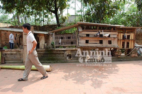 Xem "con yêu tinh "nhập" vào thanh niên đánh chết chị gái ảnh 6