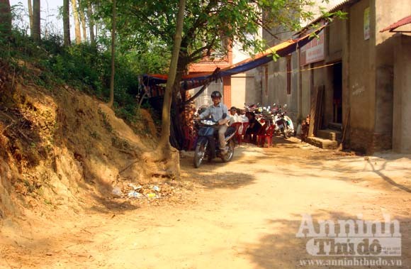 Mục sở thị "biệt tài nhốt ma" và 1.274 người con của "cô" Đích ảnh 5