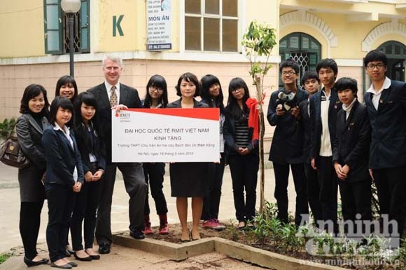 Bạch đàn Úc trên đất Việt Nam ảnh 1