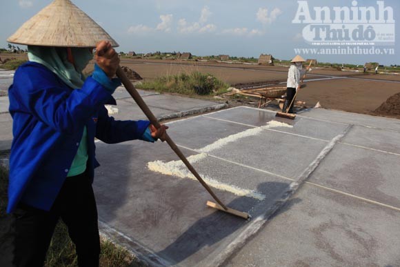 Những giọt mồ hôi trên dải cát trắng ảnh 1