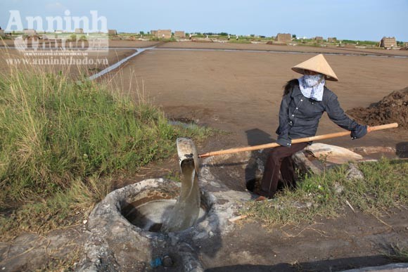 Những giọt mồ hôi trên dải cát trắng ảnh 3