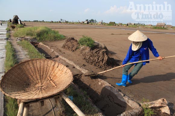 Những giọt mồ hôi trên dải cát trắng ảnh 4