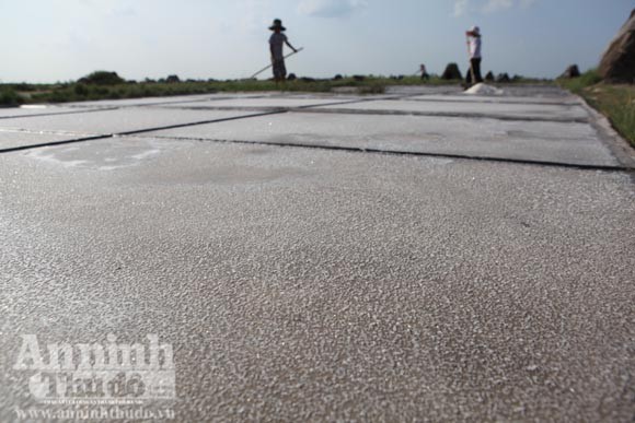 Những giọt mồ hôi trên dải cát trắng ảnh 5