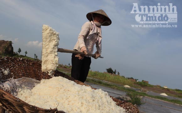 Những giọt mồ hôi trên dải cát trắng ảnh 10