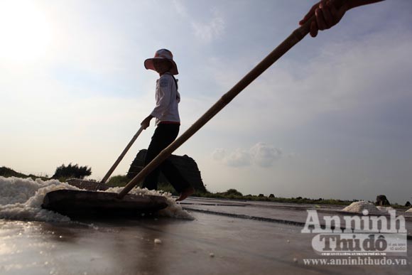 Những giọt mồ hôi trên dải cát trắng ảnh 11