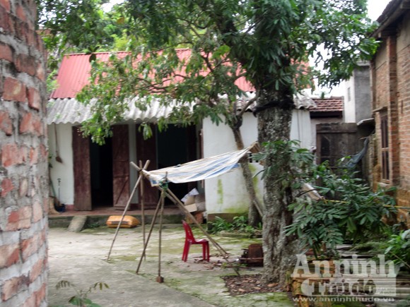 Lòng tham đánh tan tình làng nghĩa xóm ảnh 1