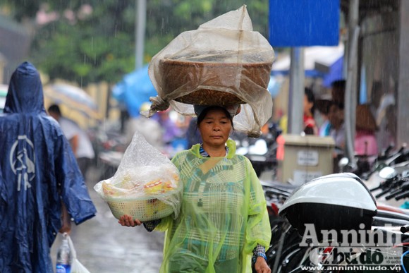 Người đàn bà ngủ phục trong cơn mưa Hà Nội ảnh 3