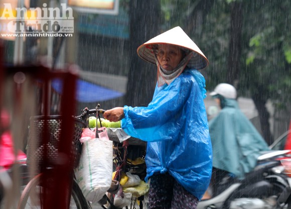 Người đàn bà ngủ phục trong cơn mưa Hà Nội ảnh 9