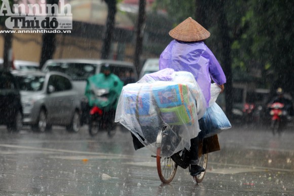 Người đàn bà ngủ phục trong cơn mưa Hà Nội ảnh 5