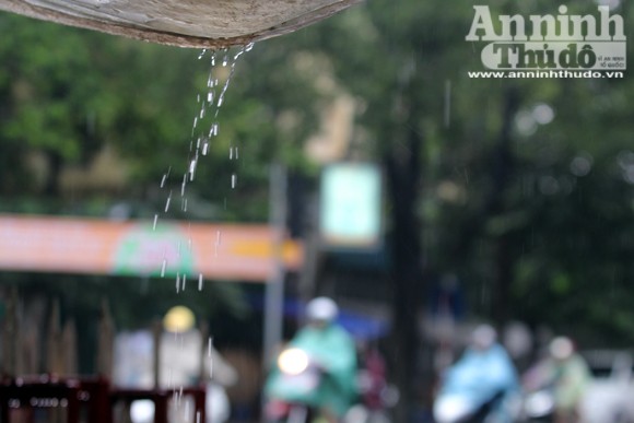 Người đàn bà ngủ phục trong cơn mưa Hà Nội ảnh 1