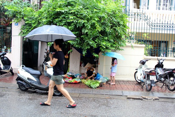 Người đàn bà ngủ phục trong cơn mưa Hà Nội ảnh 11