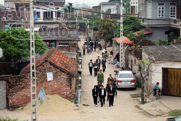 Đại tang phủ trắng triền đê sông Đáy ảnh 3