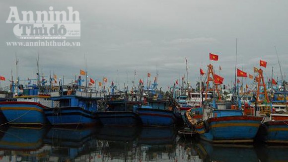 Sẵn sàng ứng phó với bão số 8 ảnh 1