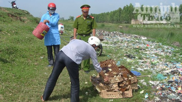 Mang 600 con gà giống vào...nhà nghỉ ảnh 1