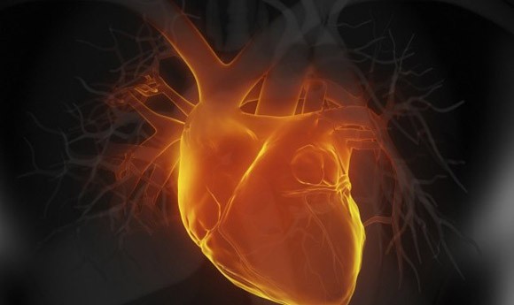Những câu chuyện bí ẩn có thật không lời đáp ảnh 1