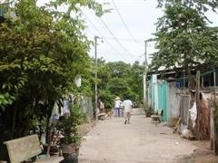 Chú đâm cháu vì muốn bênh đàn chó dữ ảnh 1