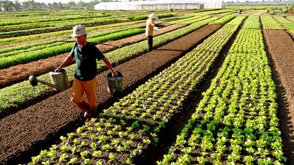 Rót vốn cho nông thôn ảnh 1