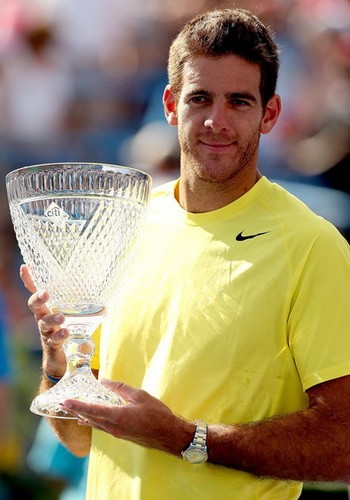 Del Potro lên ngôi tại Citi Open ảnh 1