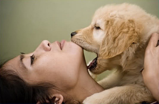 Nghi bạn gái không chung thủy, bắt làm "chuyện ấy" với... chó ảnh 1