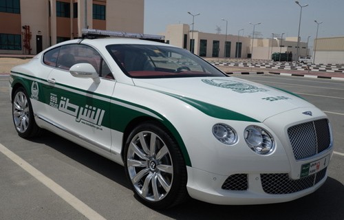 Choáng ngợp với dàn siêu xe hàng triệu đô-la của cảnh sát Dubai ảnh 9