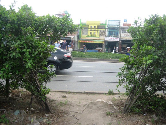 Bị xe tải cán chết vì mải mê nghe điện thoại ảnh 2