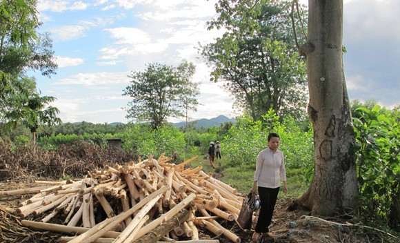 Thu hồi đất hương hỏa của dân để…phân lô, bán nền (!) ảnh 1