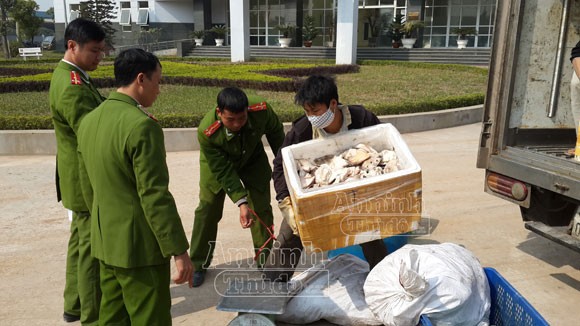 Phát hiện xe ô tải chở tai lợn "bốc mùi", chạy trên phố ảnh 1