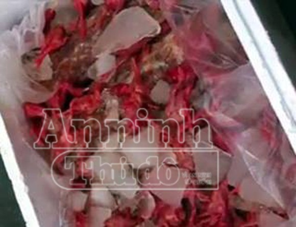 Phát hiện xe khách chở gà đông lạnh Trung Quốc bốc mùi thối ảnh 1
