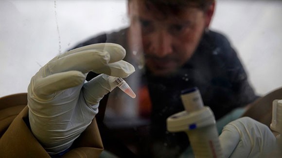 Chính phủ Guinea-Bissau quyết định đóng cửa biên giới vì dịch Ebola ảnh 3