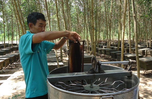 Những phận trai cả đời rong ruổi tìm hoa ảnh 2