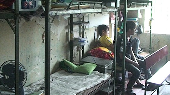 Sinh viên mang dao, súng trấn lột đồng môn ảnh 1