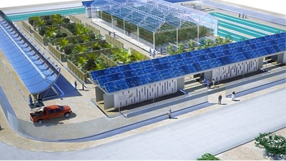 Phủ xanh sa mạc ảnh 1