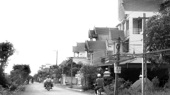 Những đại gia… ngao hồi sinh vùng đất “chết” ảnh 2