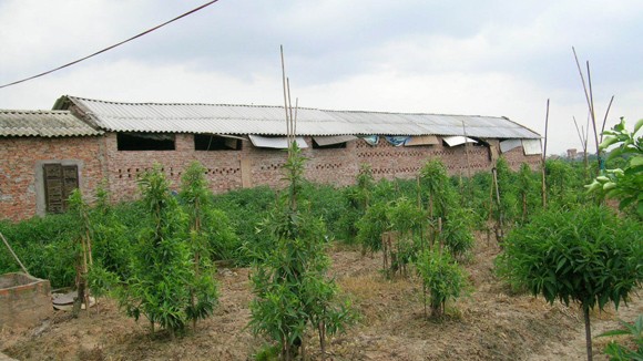 Đất công như không có chủ ảnh 1