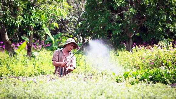 “Theo dấu người tình” ảnh 1