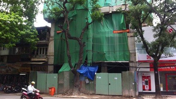 Xây nhà sai phép có thể bị phạt 1 tỷ đồng ảnh 1