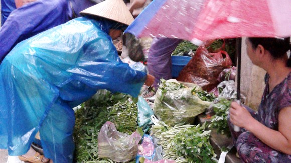 “Mượn” bão, rau tăng giá ảnh 1