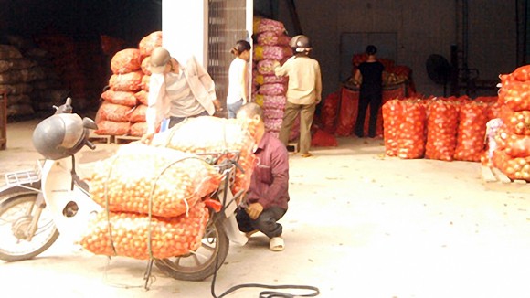 Nông sản Trung Quốc tập kết ở Bắc Ninh: Thua trên sân nhà ảnh 1