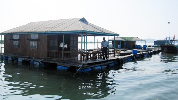 Làng nổi nơi cửa sông Cái Mắm ảnh 3