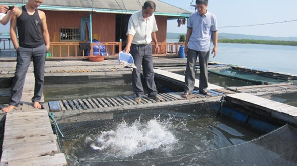 Làng nổi nơi cửa sông Cái Mắm ảnh 1