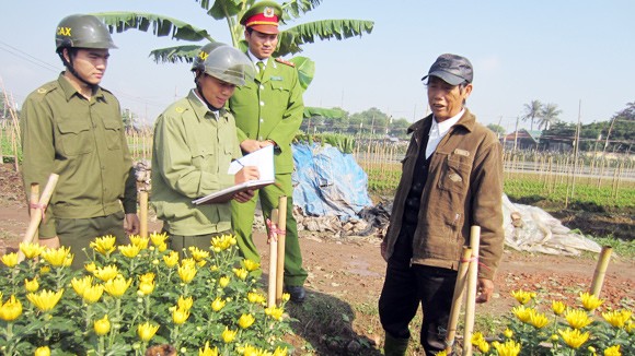 Làng hoa đẩy lùi ma túy ảnh 2